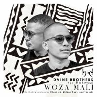 Artwork for Woza Mali(Incl Eltonnick, Thakzin and Afrikan Roots Remixes) by Dvine Brothers