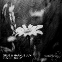 Artwork for Something EP by Grue