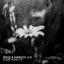 Artwork for Euphoria (Original Mix)