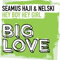 Artwork for Hey Boy Hey Girl by Seamus Haji