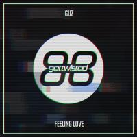 Artwork for Feeling Love by Guz (NL)