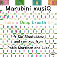 Marubini Musiq