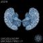 Artwork for Broken Mind (Strobetech Remix)