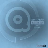 Artwork for Eternal Flanger by Pascal Mollin