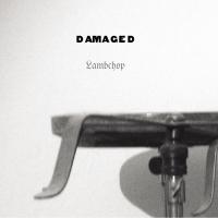 Artwork for Damaged by Lambchop