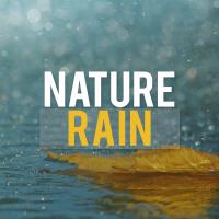 Artwork for Nature Rain by Rain Sounds