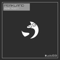 Artwork for Peak Room by Peakland