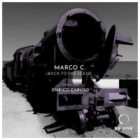 Artwork for Back to the Scene by Marco C.