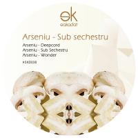 Artwork for Sub Sechestru by Arseniu