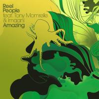 Artwork for Amazing by Reel People