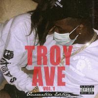 Artwork for Troy Ave, Vol. 1 by Troy Ave