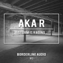 Artwork for Storm Is Raging (Original Mix)