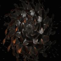 Artwork for Devotion  by Giles Appleton