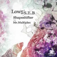 Artwork for Shapeshifter by S.E.B