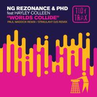 Artwork for Worlds Collide (Remixes) by NG Rezonance