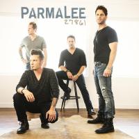 Artwork for 27861 by parmalee