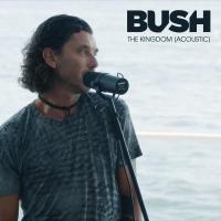 Artwork for The Kingdom (Acoustic) by Bush