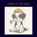 Artwork for Look At My Dog