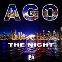 Artwork for The Night (Remixes) by AGO