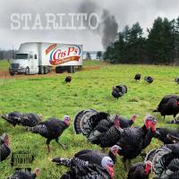 Artwork for Fried Turkey by Starlito