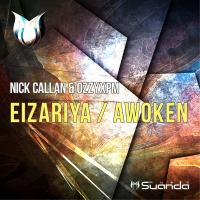 Artwork for Eizariya / Awoken by Nick Callan