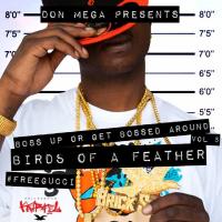 Artwork for Birds of a Feather by Don Mega