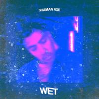 Artwork for Wet by Shaman Roe