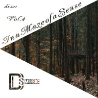 Artwork for In a Maze of a Sense, Vol. 4 by Various Artists