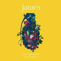 Artwork for Leviathan (Acoustic) by James