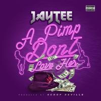 Artwork for A Pimp Don't Love Her by JAY TEE