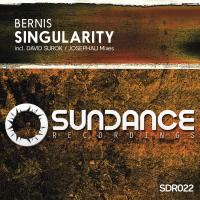 Artwork for Singularity by Bernis