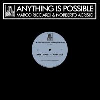 Artwork for Anything Is Possible by Marco Ricciardi