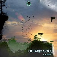 Artwork for Ocean by Cosmic Soul