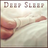 Artwork for Deep Sleep: Ambient Sleeping Music and Nature Sounds, Sleep Playlist, Background Music for Sleeping and Sleep Aid by Deep Sleep