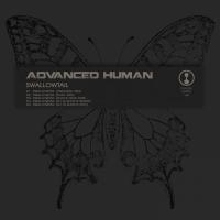 Artwork for Swallowtail by Advanced Human