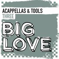 Artwork for Big Love Acappellas & Tools, Vol. 3 by Various Artists