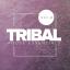 Artwork for Tiwanaku (Original Mix)