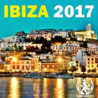 Artwork for Ibiza Muziek Colours 2017 by Various Artists