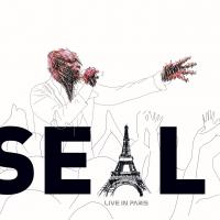 Artwork for Live in Paris by Seal