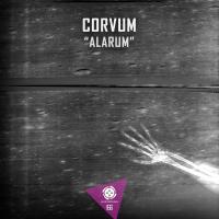 Artwork for Alarum by Corvum