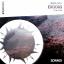 Artwork for Exodus (Original Mix)