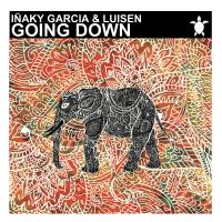 Artwork for Going Down (feat. Luisen) by Iñaky Garcia