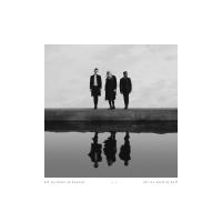 Artwork for What's Wrong by PVRIS