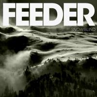 Artwork for Snowblind by Feeder