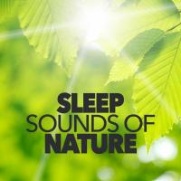 Artwork for Sleep Sounds of Nature by Sleep Sounds of Nature