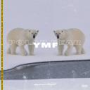 Artwork for Polar Bear