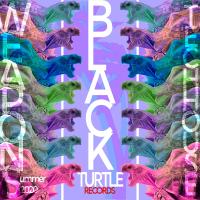 Artwork for Black Turtle Weapons Tech House Summer 2020 by Andres Power