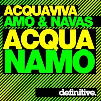 Artwork for Acquanamo by John Acquaviva