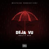 Artwork for Deja Vu by Tweety Brd