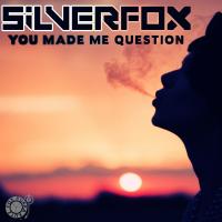 Artwork for You Made Me Question by Silverfox